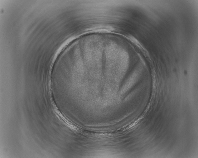 X0000053051240200508011839