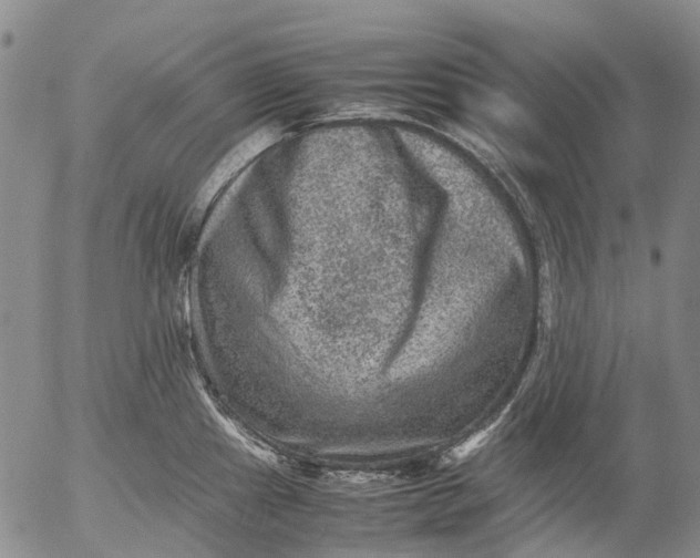 X0000053051241200508011839