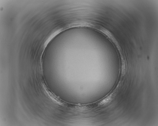 X0000053051242200508011839