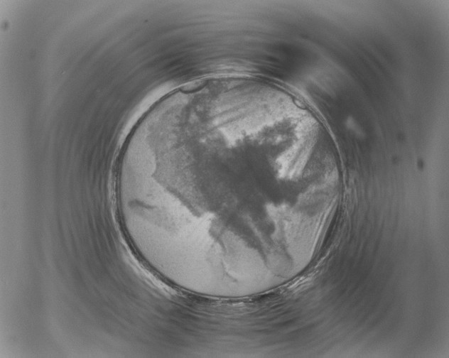 X0000053051243200508011839