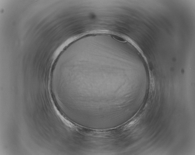 X0000053051245200508011839