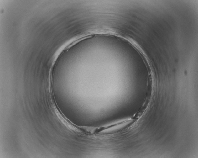 X0000053051246200508011840