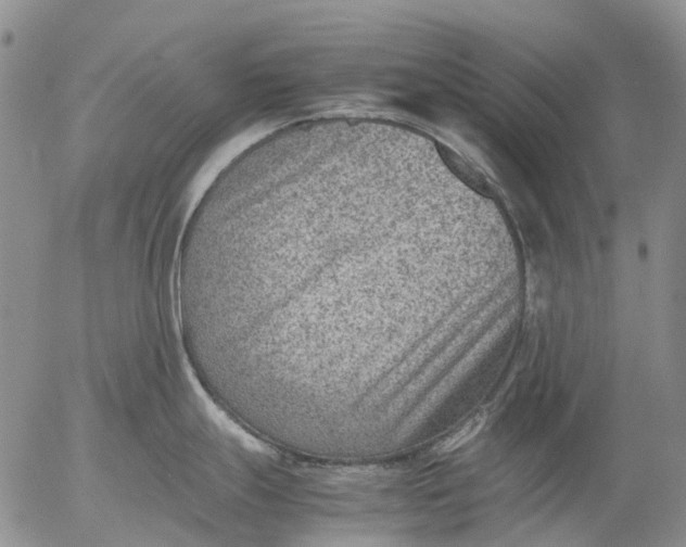 X0000053051247200508011840