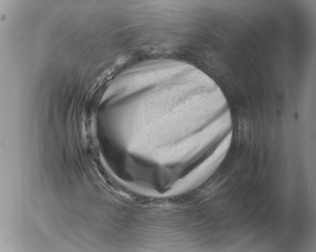 X0000053051250200508011839