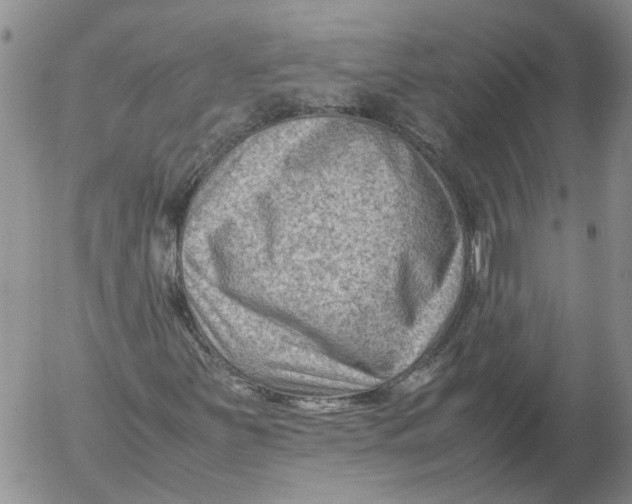 X0000053051251200508011839