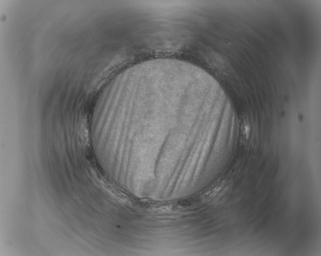 X0000053051252200508011839