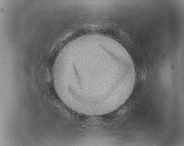 X0000053051253200508011839