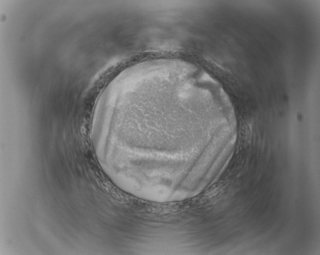 X0000053051254200508011839