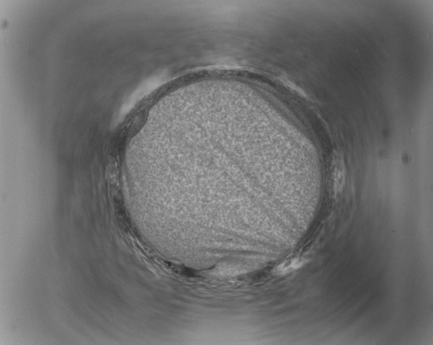 X0000053051255200508011839