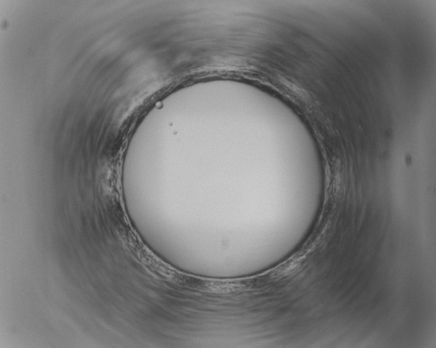 X0000053051258200508011839