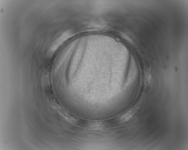 X0000053051259200508011839