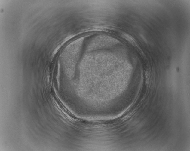 X0000053051260200508011839