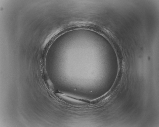 X0000053051261200508011839