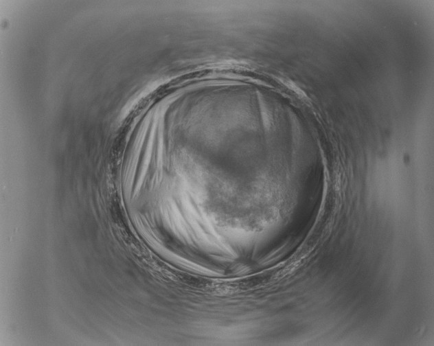 X0000053051263200508011838