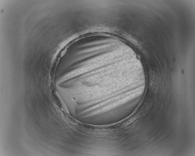 X0000053051264200508011838