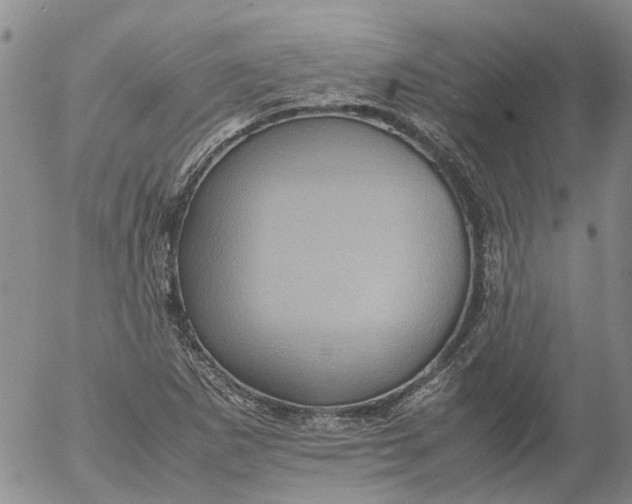 X0000053051265200508011838