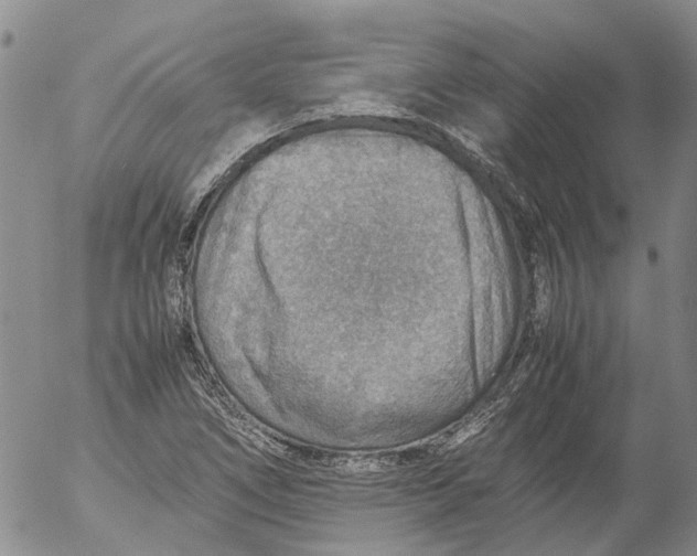 X0000053051266200508011838