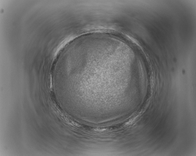 X0000053051267200508011838