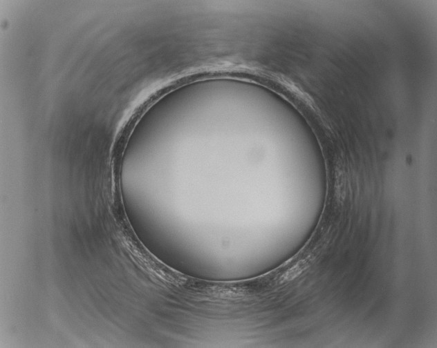 X0000053051270200508011838