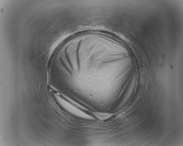 X0000053051271200508011838