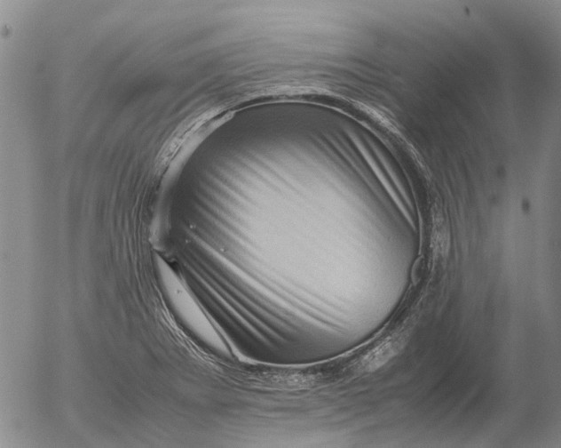 X0000053051273200508011838