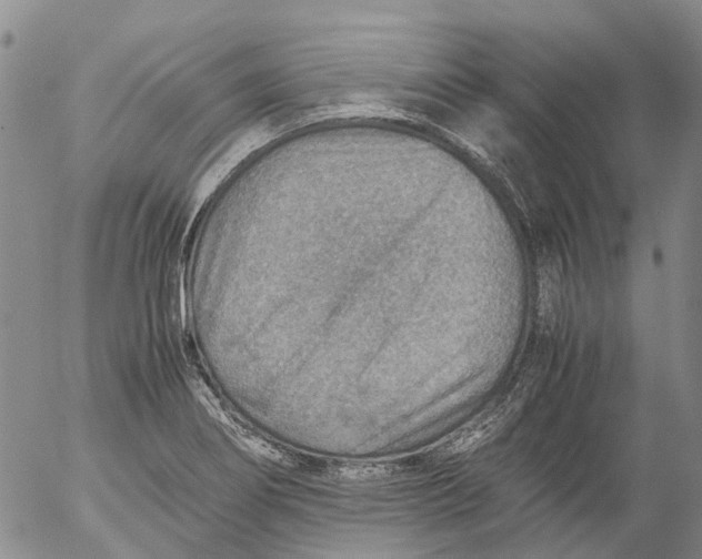 X0000053051274200508011838