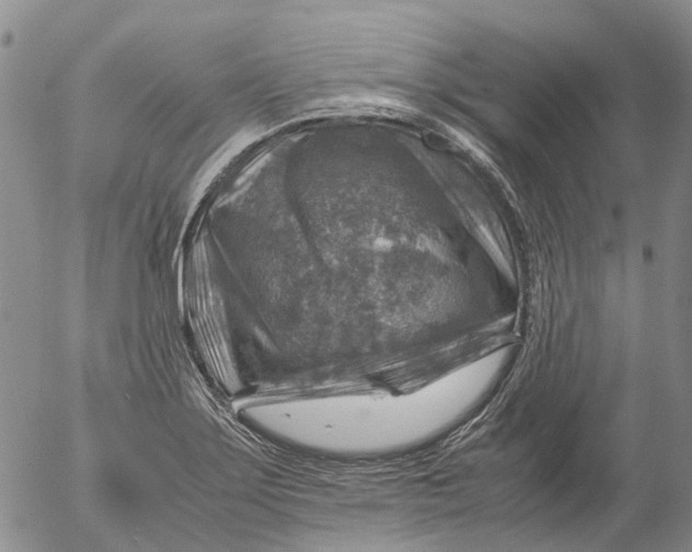 X0000053051275200508011838