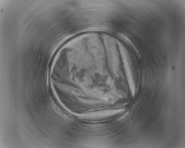 X0000053051276200508011838