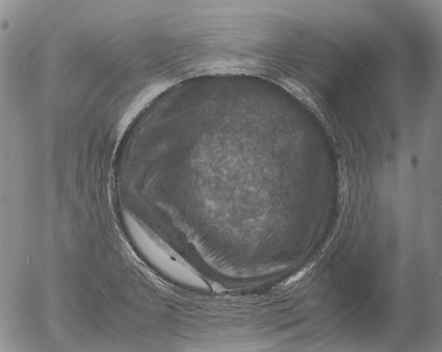 X0000053051277200508011838