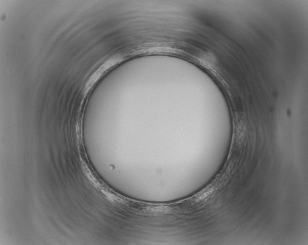 X0000053051282200508011838