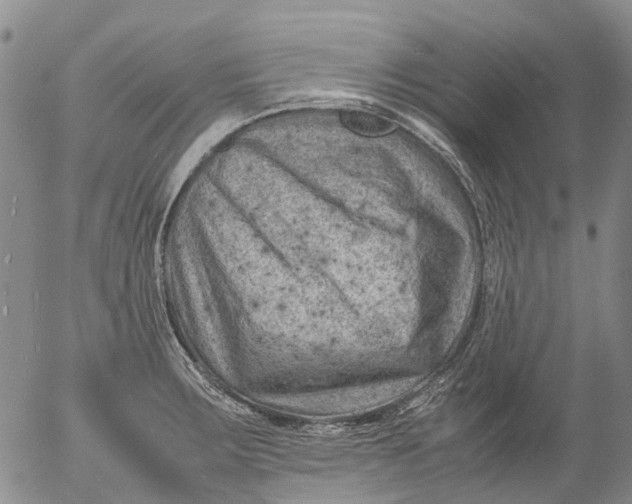 X0000053051283200508011838