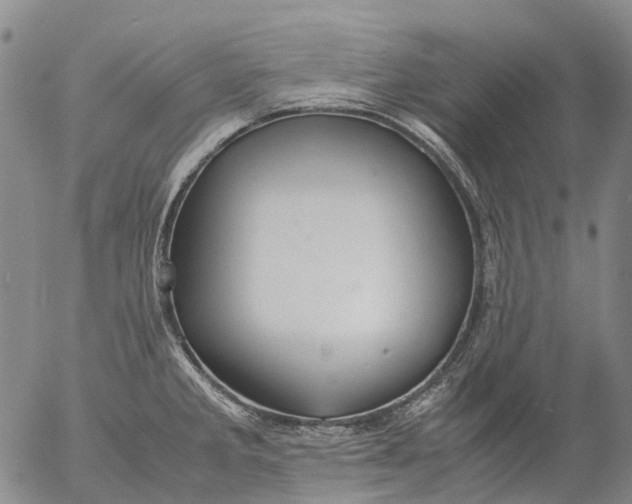 X0000053051285200508011838