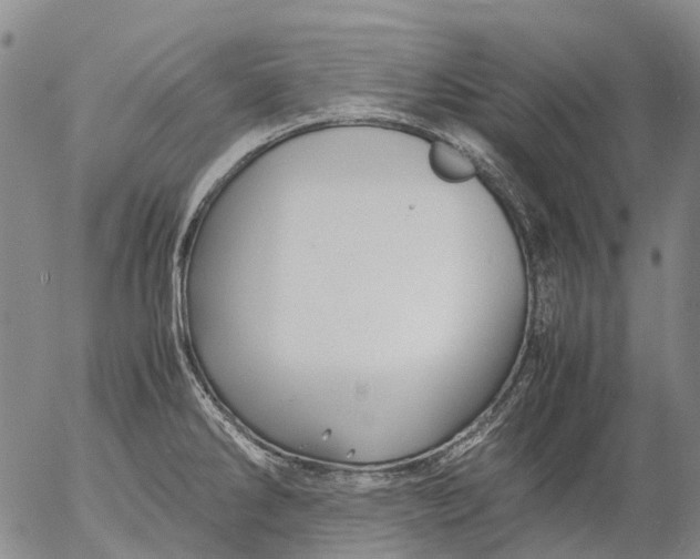 X0000053051286200508011838