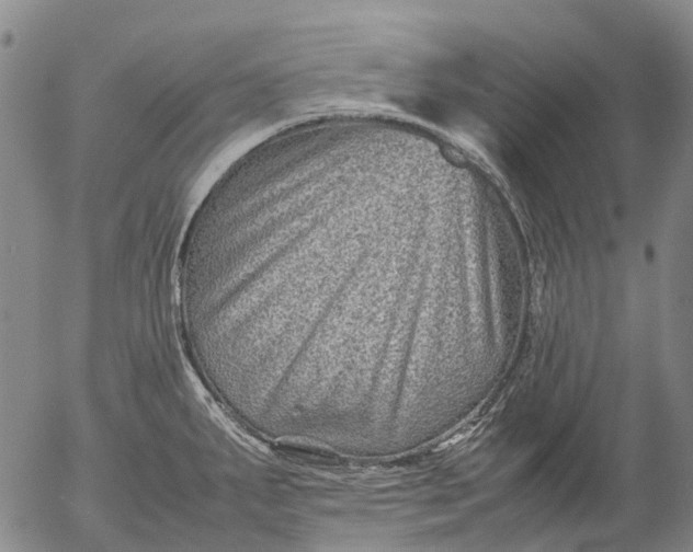 X0000053051287200508011838