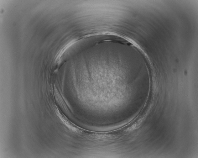 X0000053051289200508011838