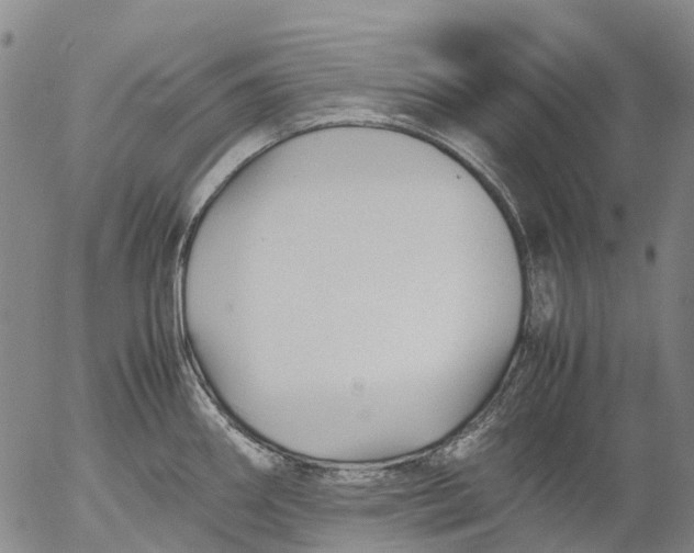 X0000053051290200508011838