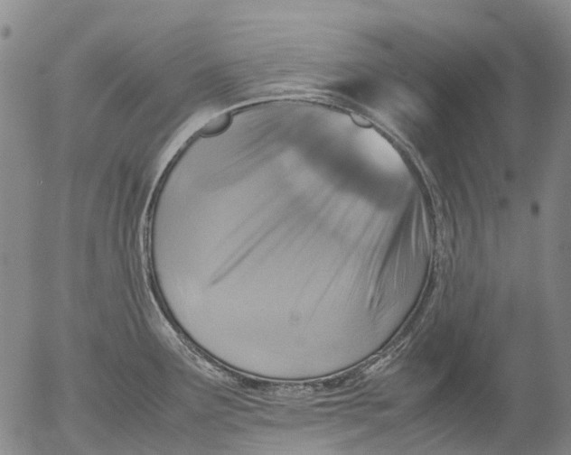 X0000053051291200508011838