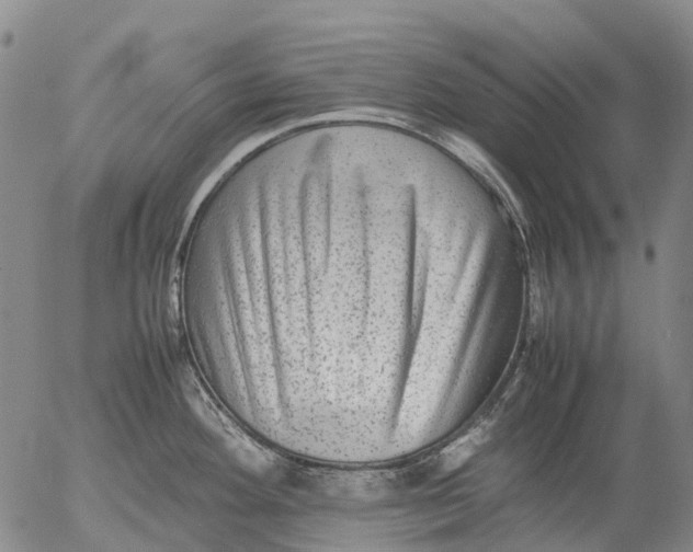 X0000053051292200508011838