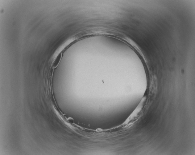 X0000053051293200508011838