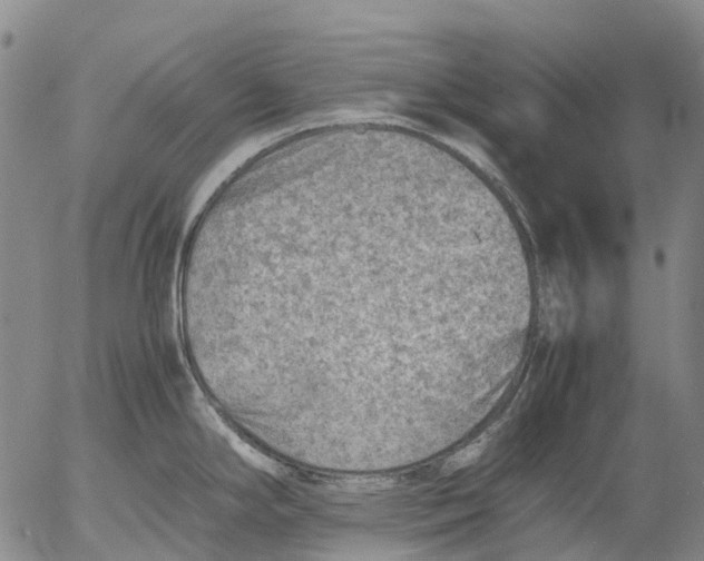 X0000053051294200508011838