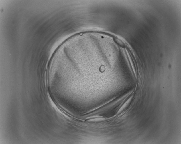 X0000053051295200508011838