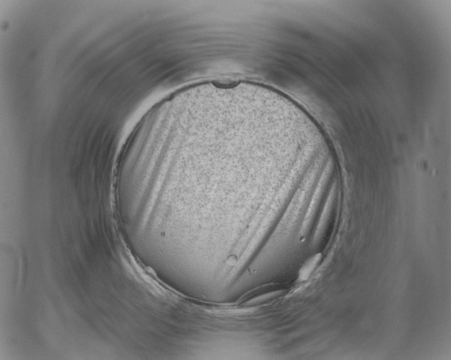 X0000053051296200508011838