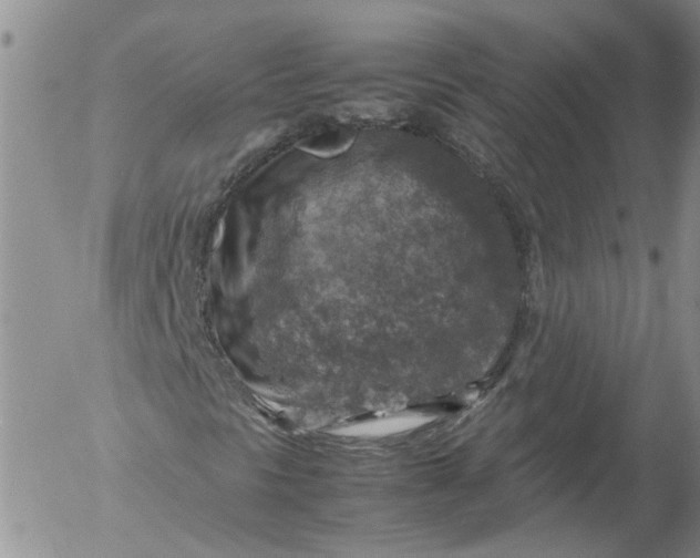 X0000053051297200508011837