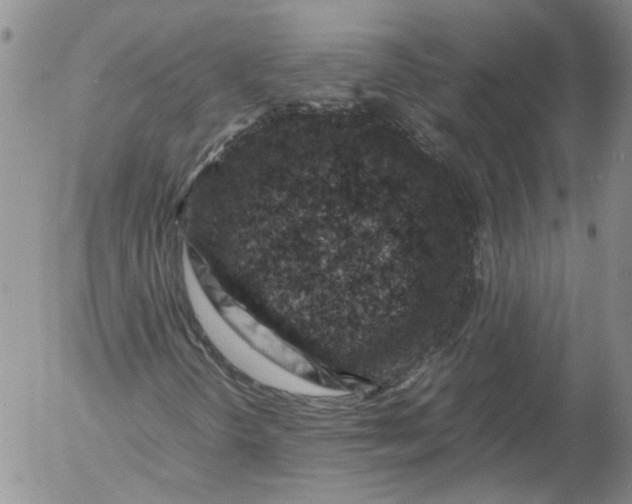 X0000053051298200508011837