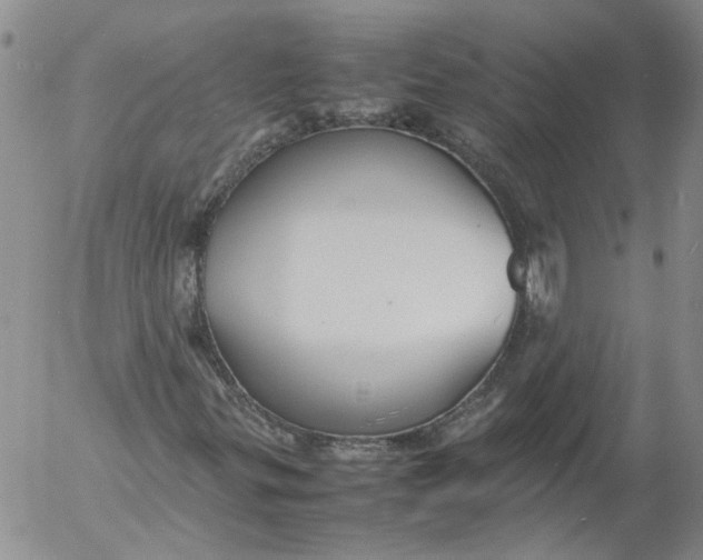 X0000053051299200508011837