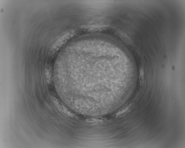 X0000053051300200508011837