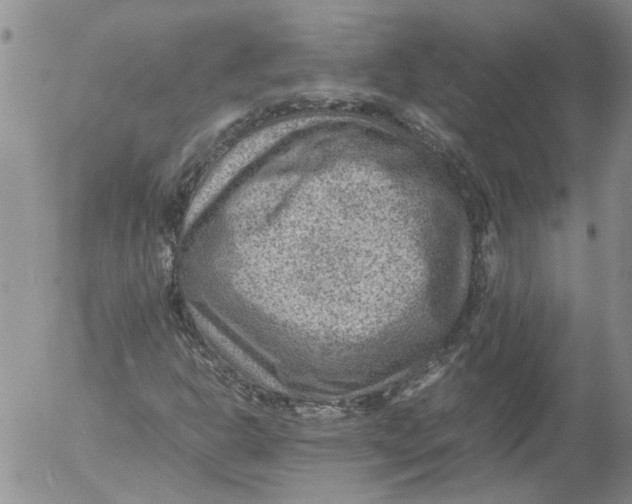 X0000053051302200508011837