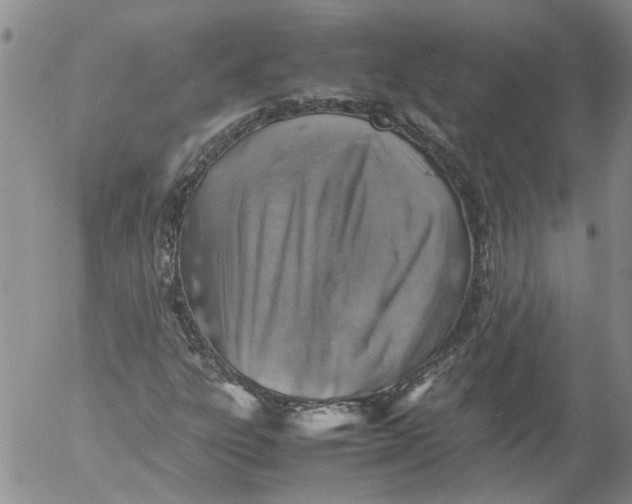 X0000053051303200508011837