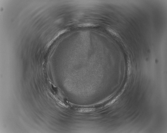 X0000053051305200508011837