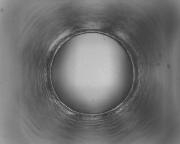 X0000053051307200508011837